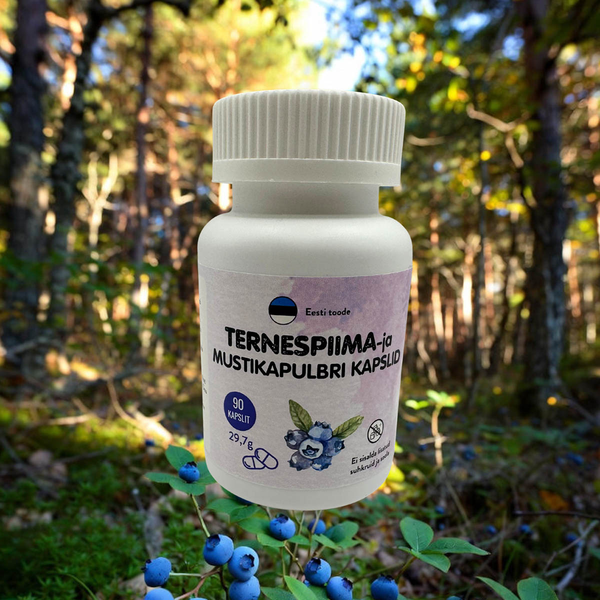 Ternespiima- ja mustikapulbri kapslid